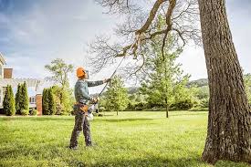 Best Tree Disease Treatment  in Rancho Santa Fe, CA